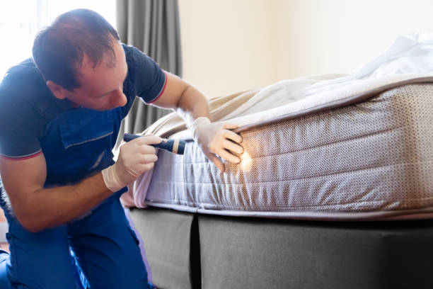 Best Bed Bug Extermination  in New Tazewell, TN